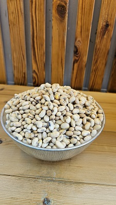 سویا آجیلی