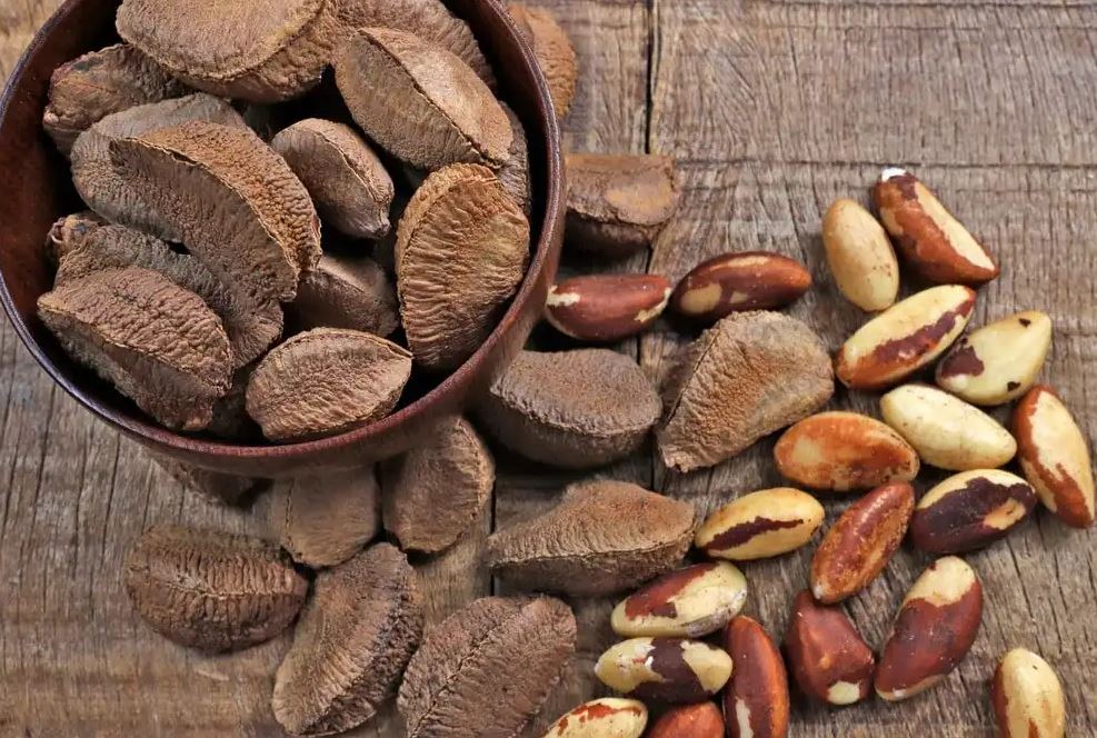 ۸ خاصیت علمی بادام برزیلی