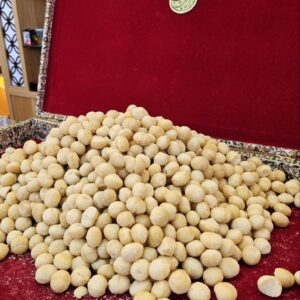 مغز ماکادمیا